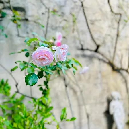 Guest house Chateau Mesdames *