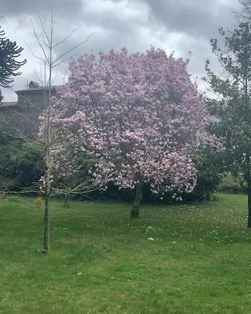 Guest house Chateau Mesdames *